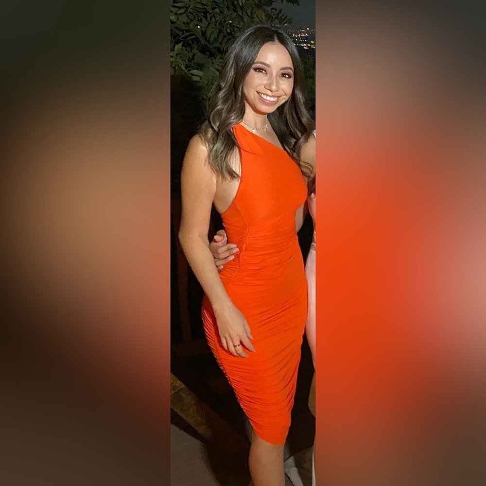 ALIX NYC Celeste Dress in Blood Orange - Size S